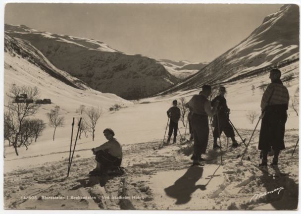 14/605  Storestølen i Brekkedalen