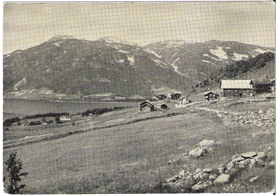 Hadland, Rauland. Skiens Papirindustri B 116