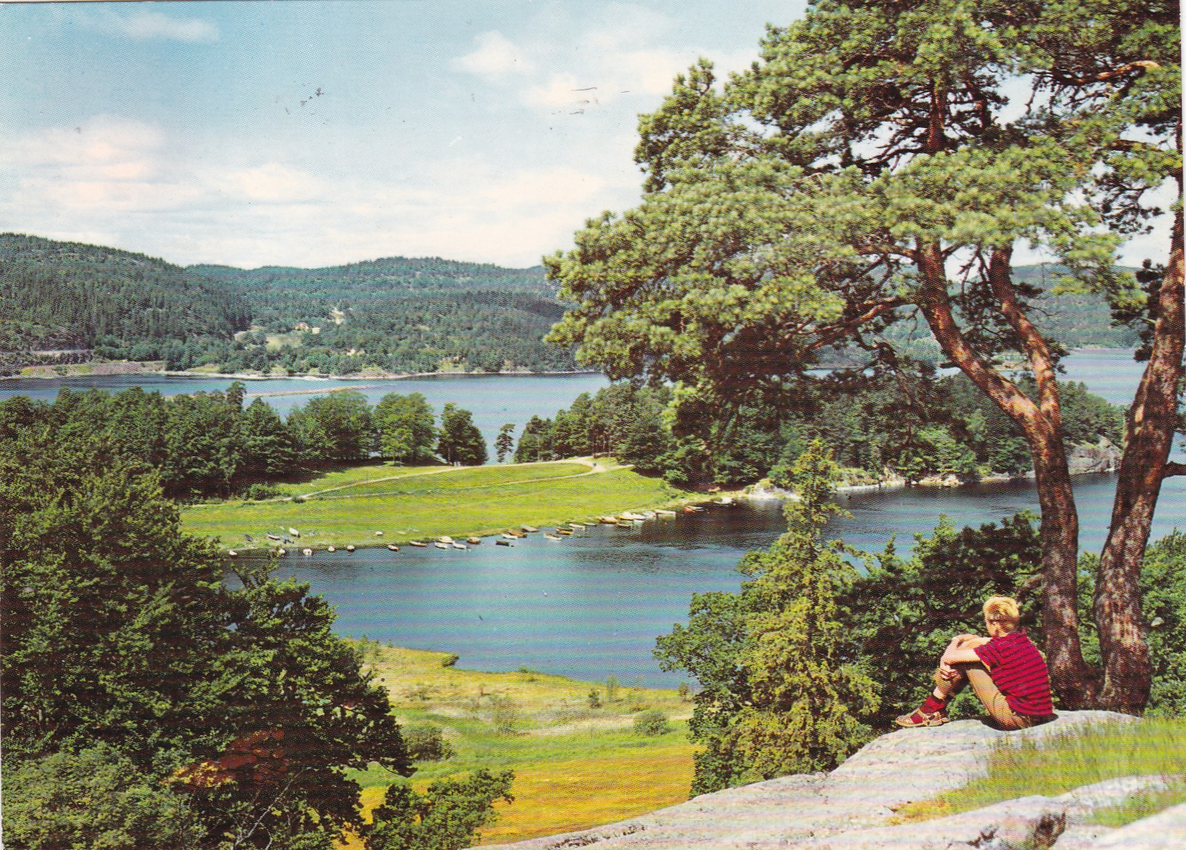 Larvik. Utsikten, Bjørkeskogen ( Aune F-2242-5)