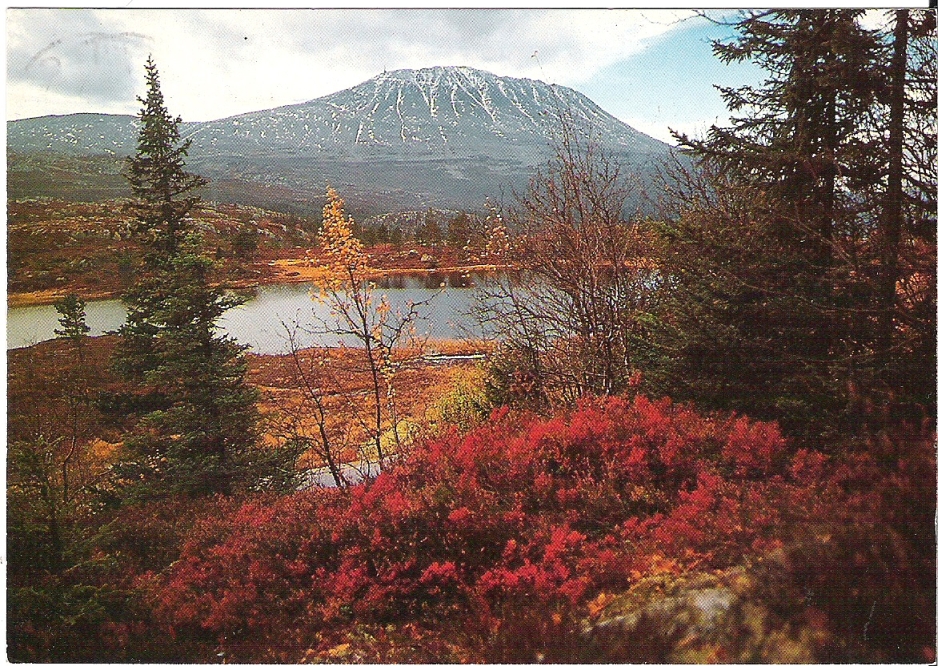 Gaustatoppen. K. Nordahl 1475