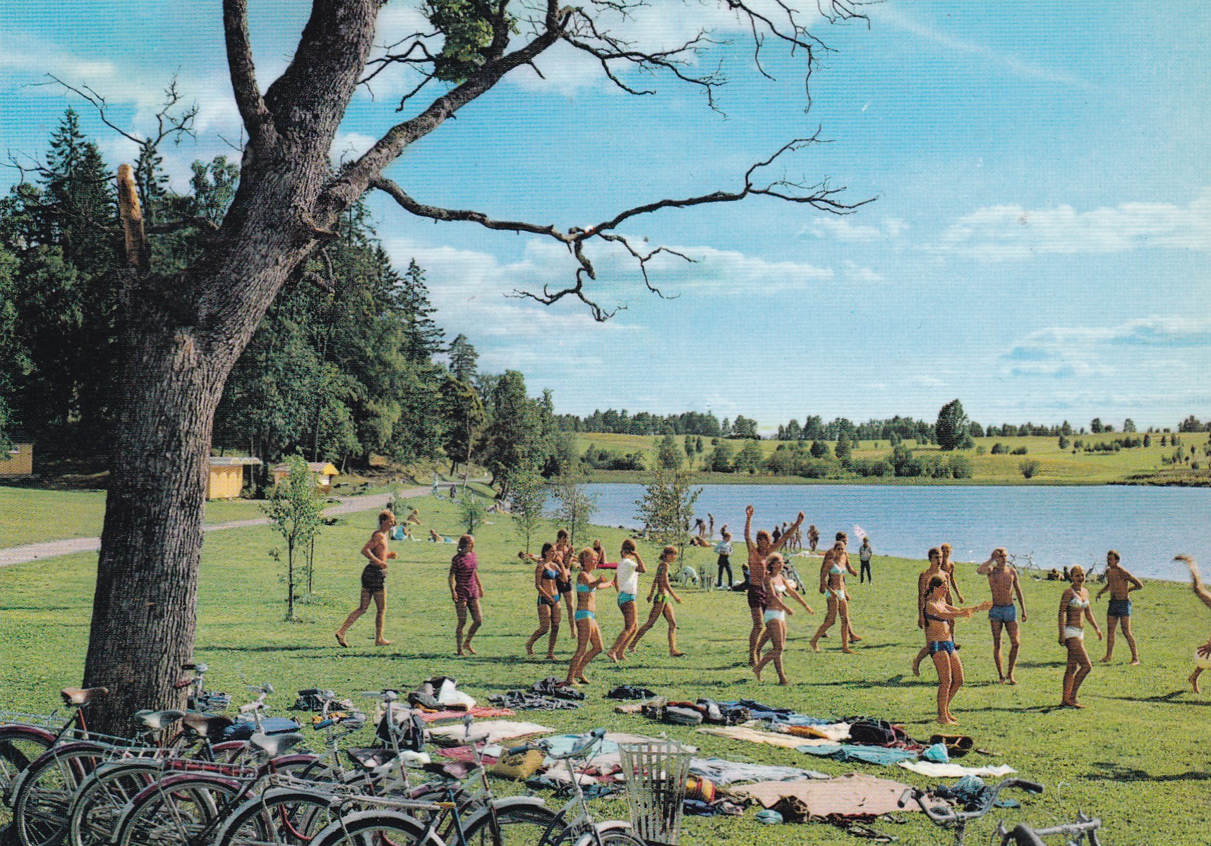 Oslo. Parti fra Bogstadvannet ved Bogstad campingplass