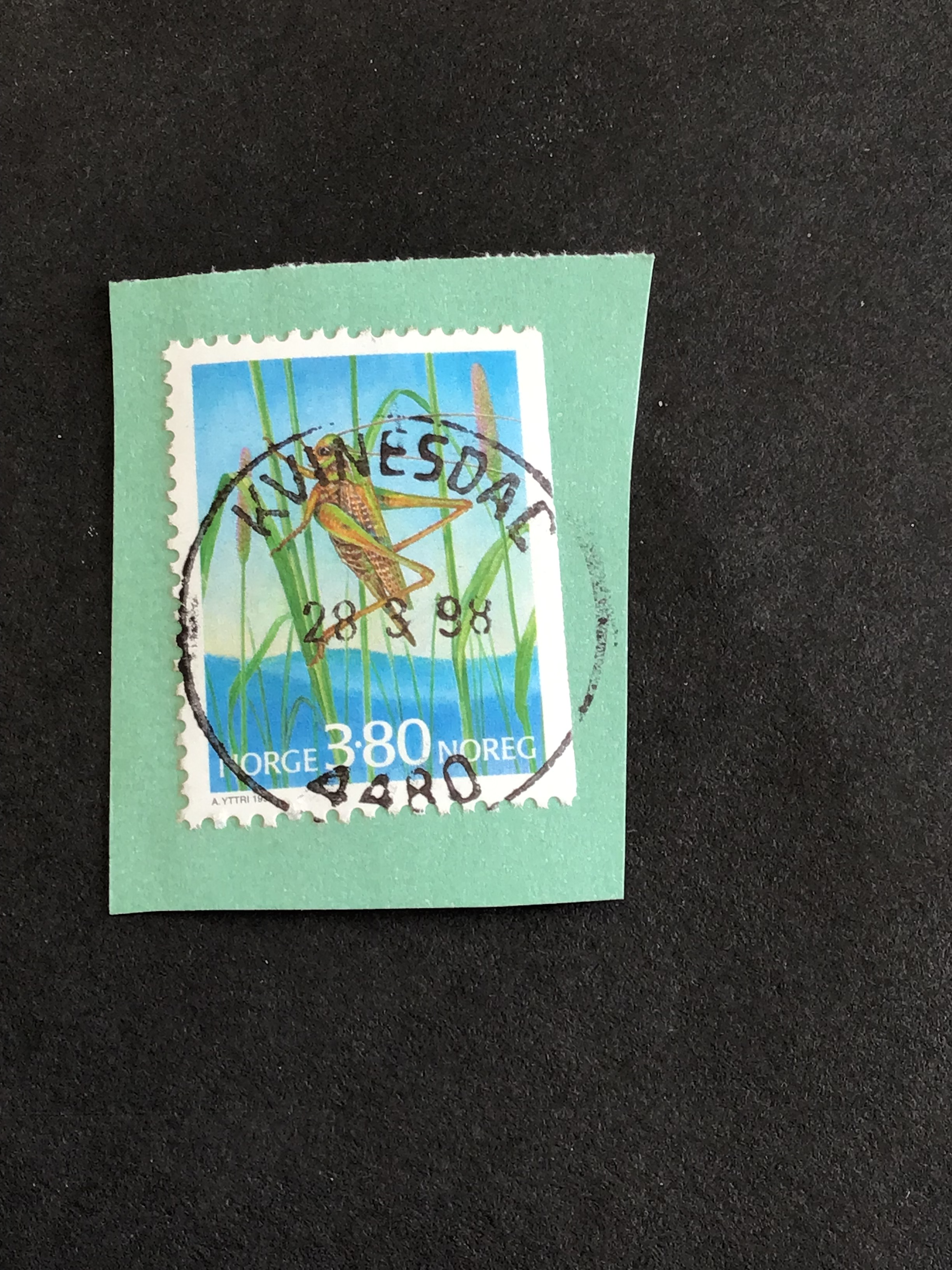 Kvinesdal. 28 3 98
