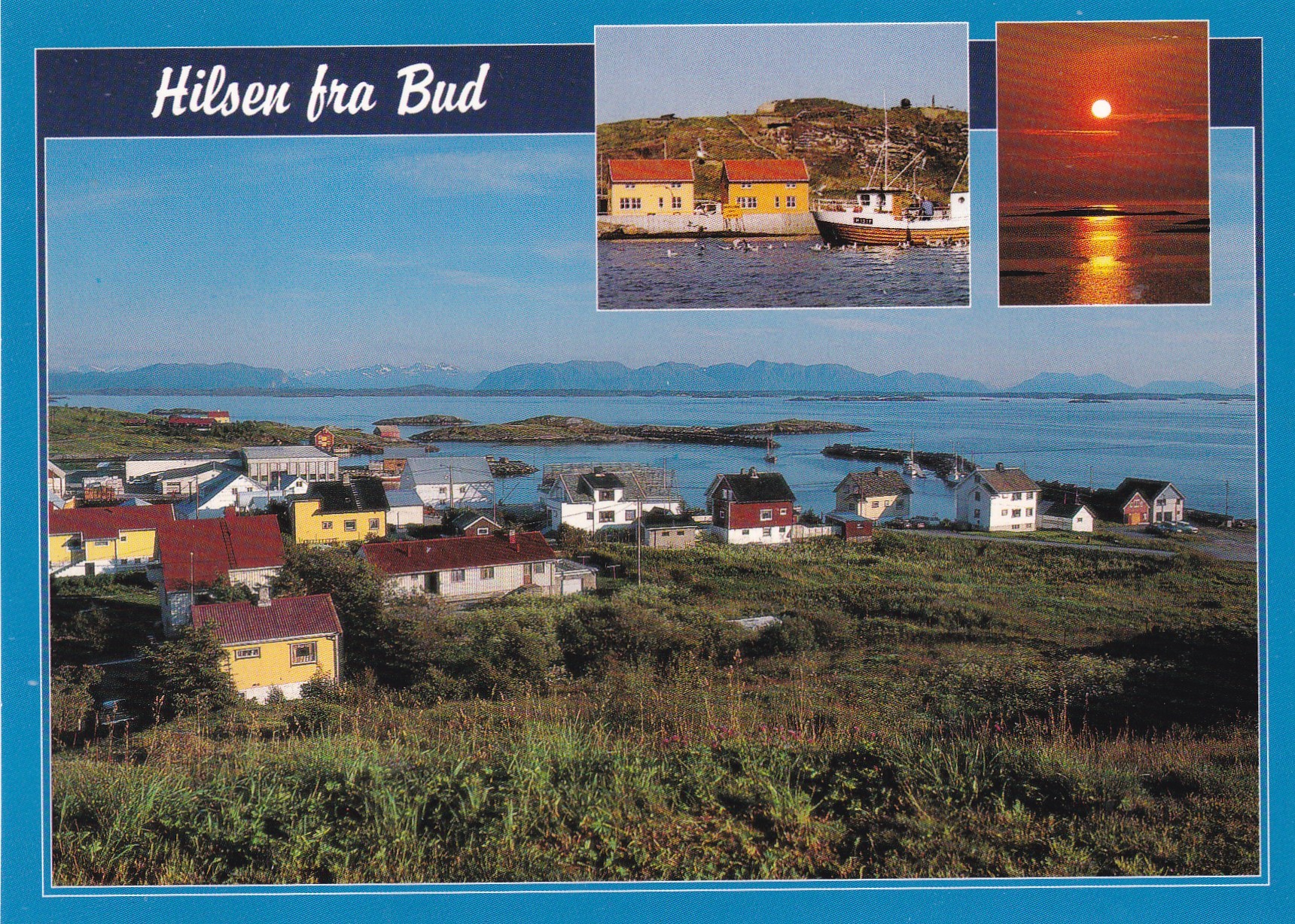Bud, 3-bilders ( Normann T-35-009)
