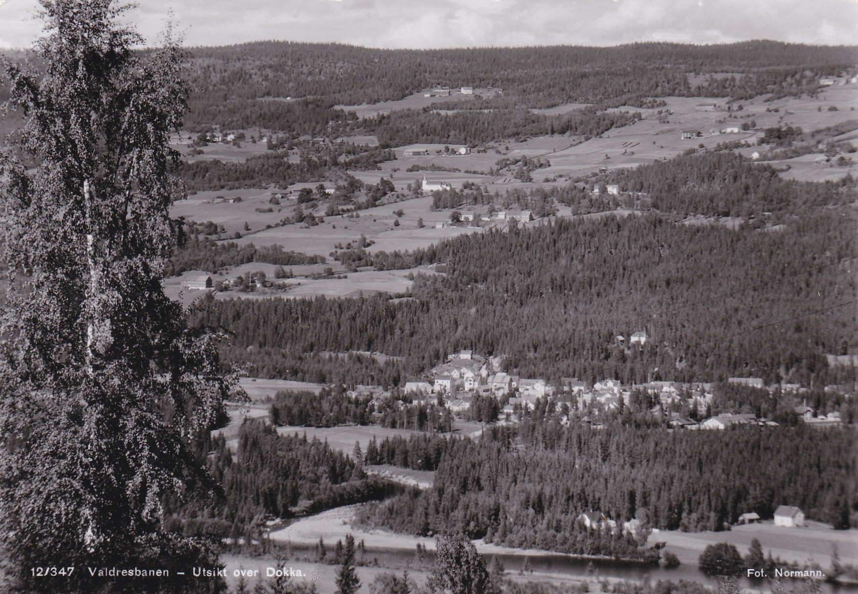 Valdresbanen - Utsikt over Dokka ( Normann 12/347)