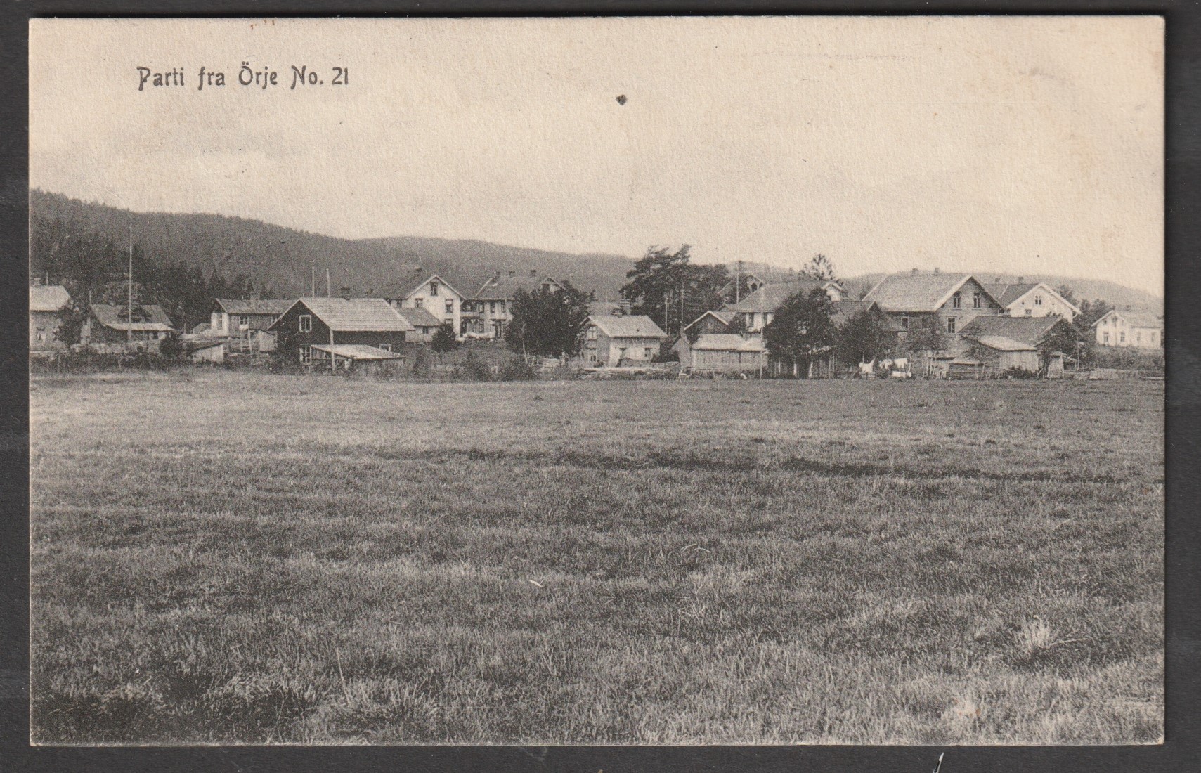Parti fra Ørje No. 21. M. Olsen