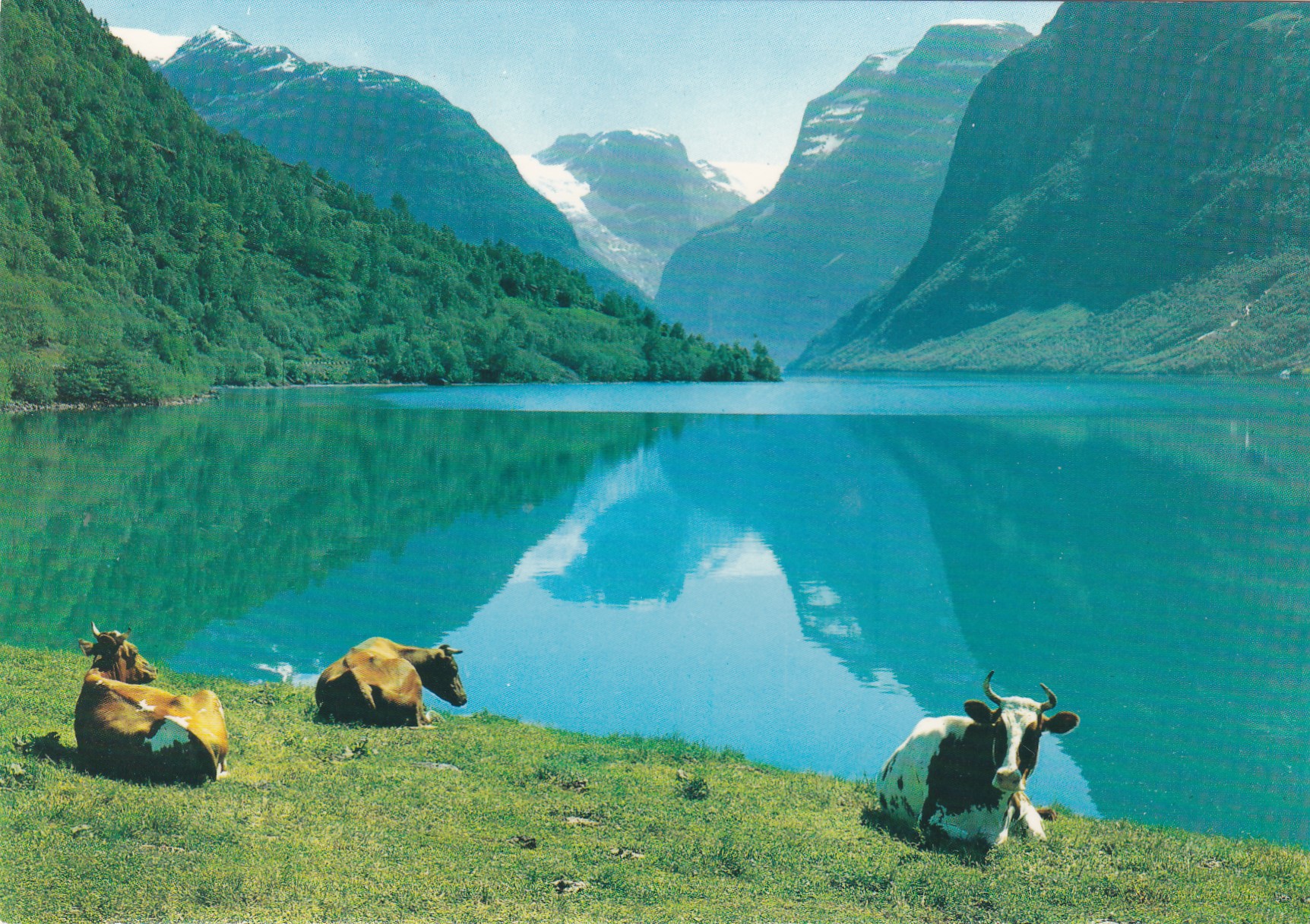 Parti ved Loenvann, Nordfjord. Aune F-1821-4