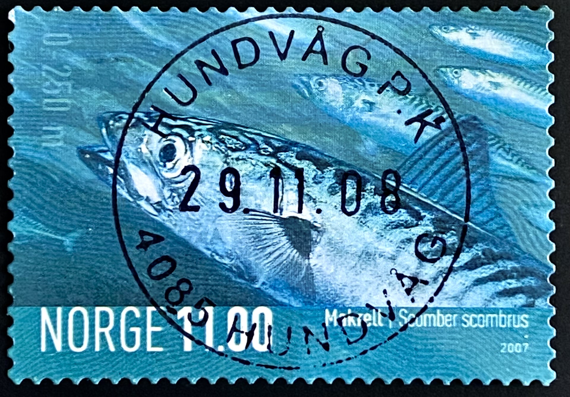 NK 1651 Hundvåg