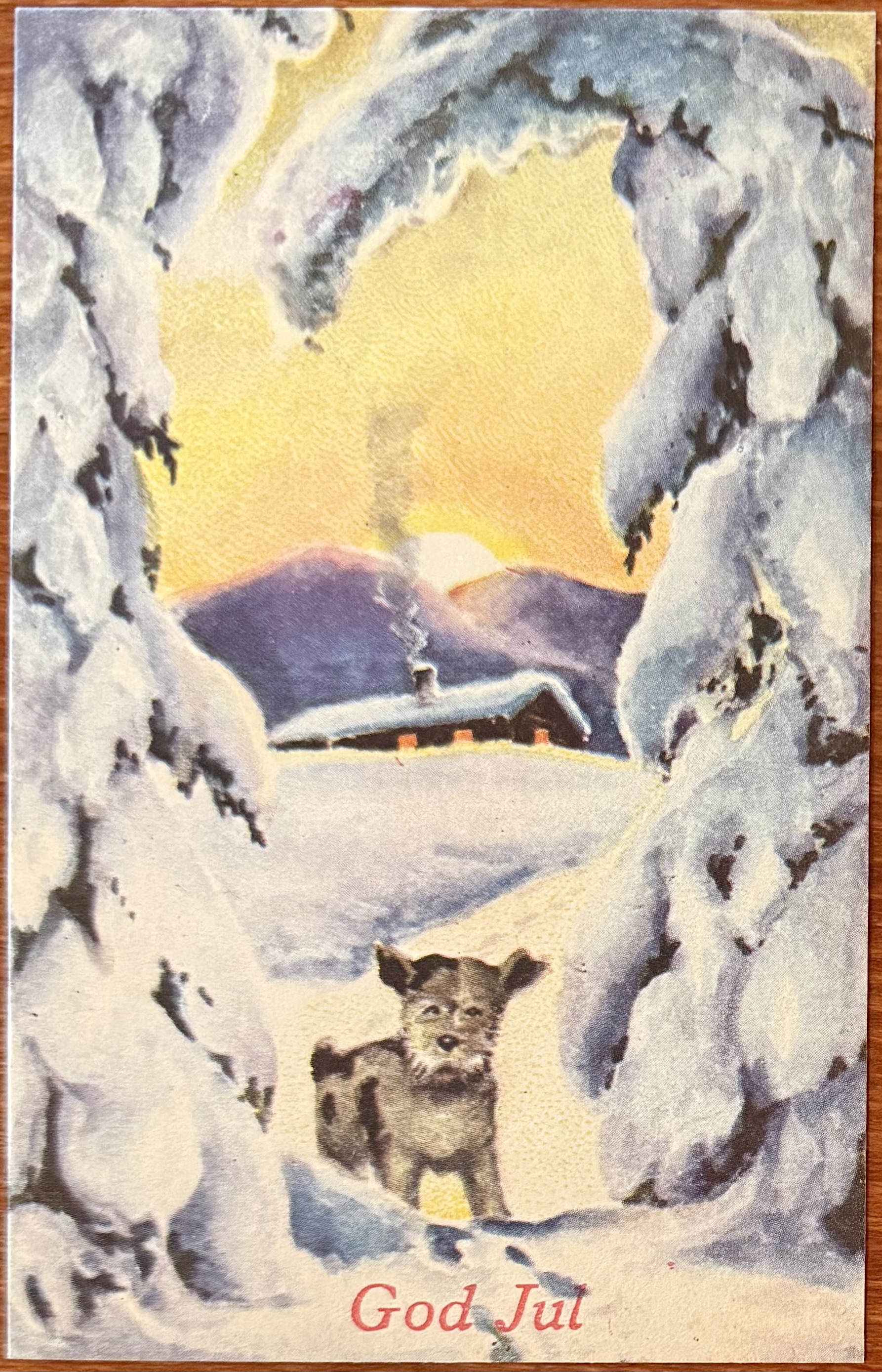 Stenberg, Mittet &Co, Hund i snøen