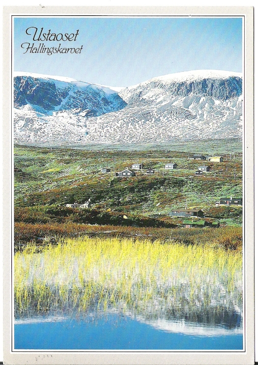Ustaoset 1990. Normann 01-E-10-299