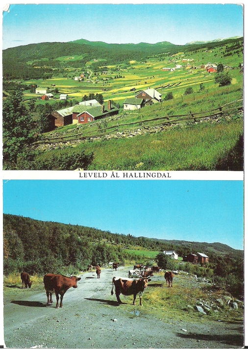 Leveld, Ål 1981. H. Strand S-13