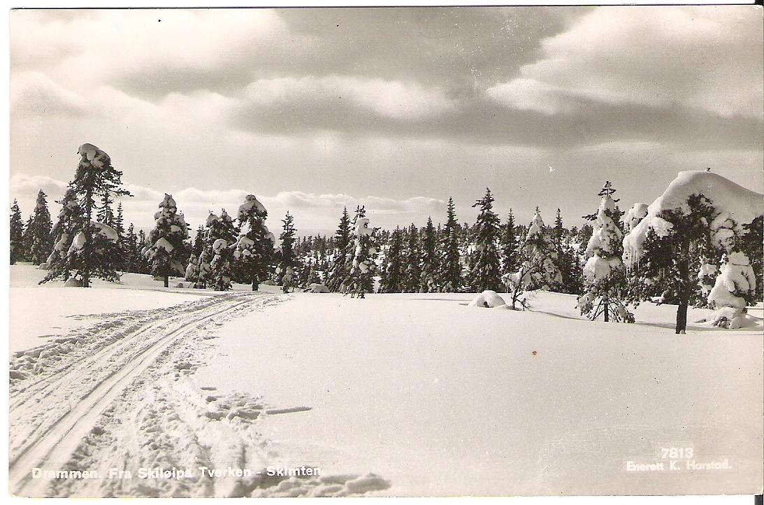 Drammen, skiløipa Tverken-Skimten. Harstad 7813