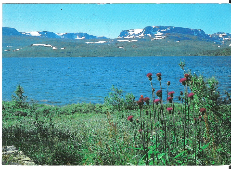 Strandavatn mot Hallingskarvet 1991. H. Strand H-8