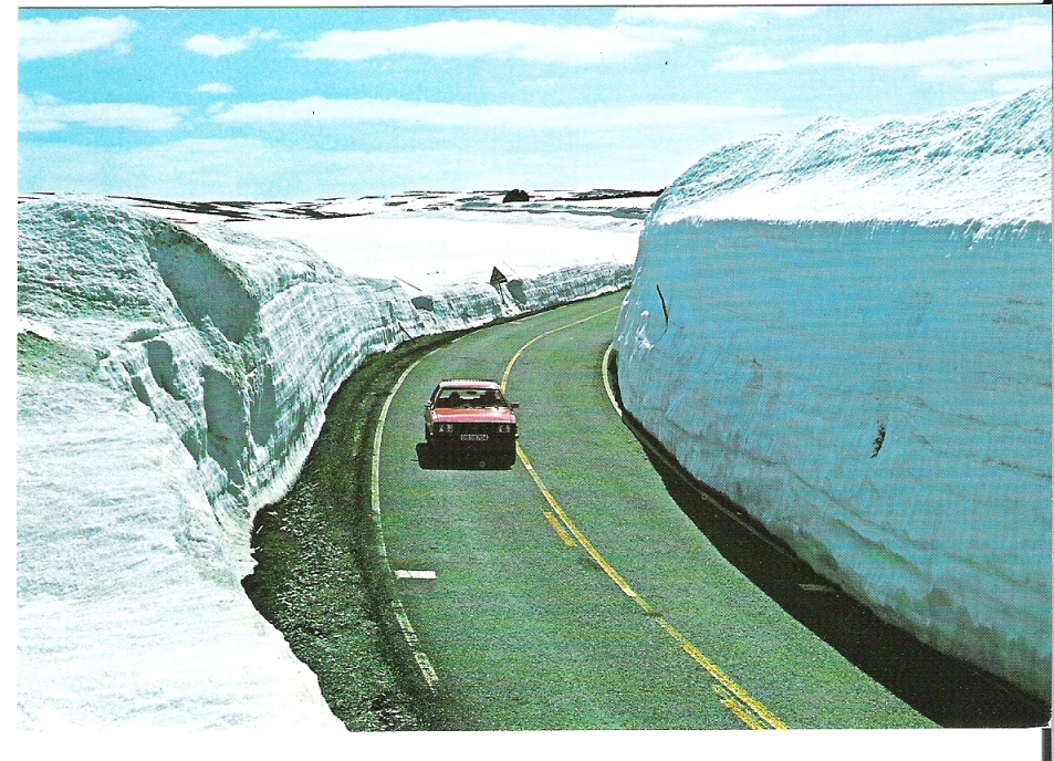 Hardangervidda. H. Strand O-39