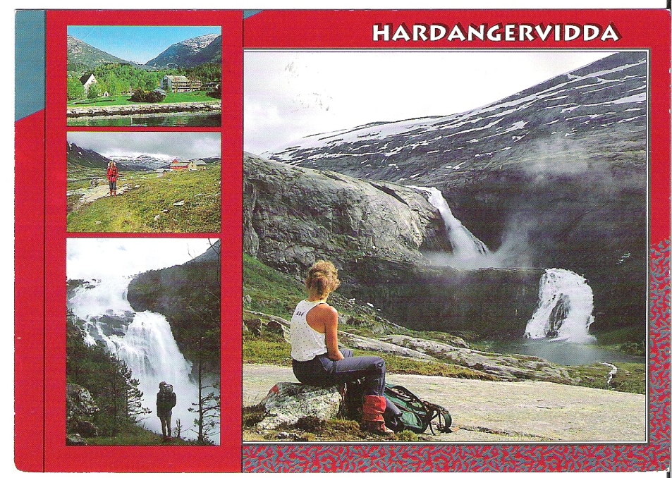 Hardangervidda Nasjonalpark 1995. Normann 01-H-24-177