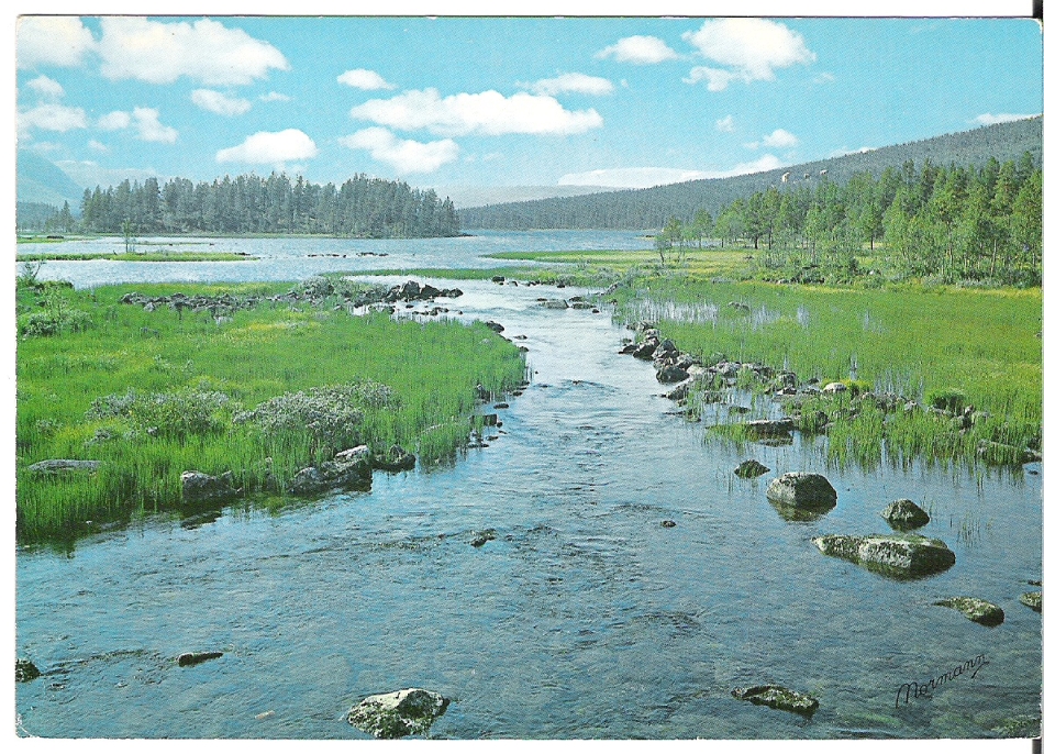 Parti fra vegen Geilo-Kongsberg. Normann E-10-74