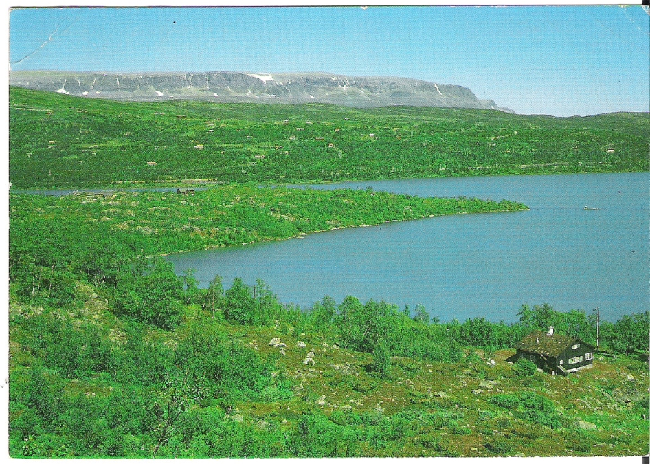Haugastøl 1985. H. Strand T-14