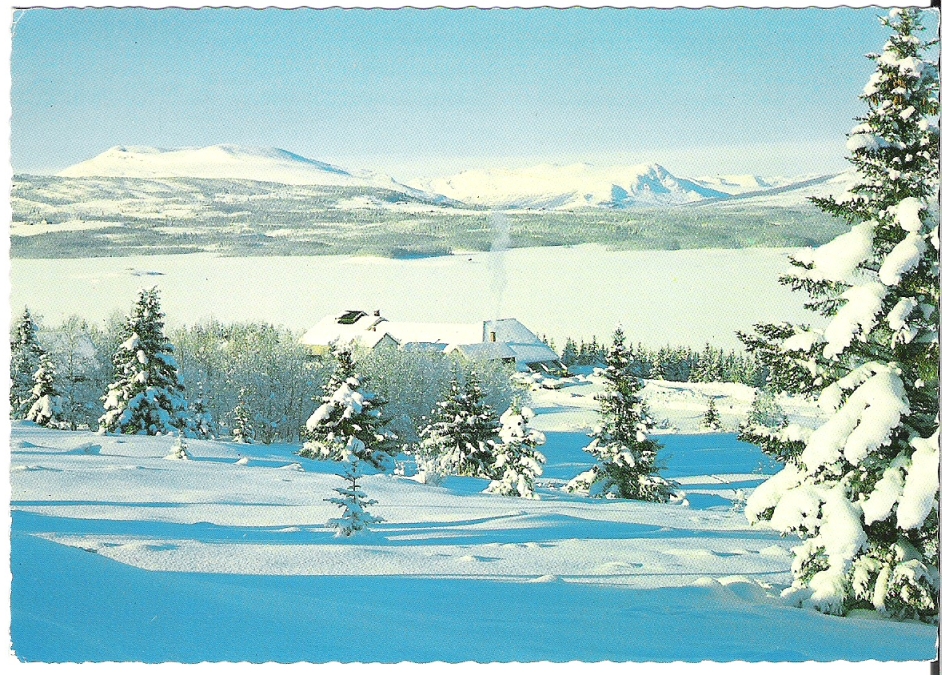 Glomsrud Høyfjellseter 1990. H. Strand A-11