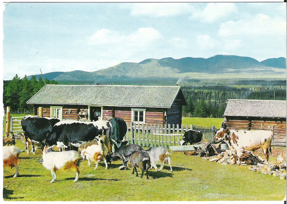Østerdalen 1977. Normann F-29-2