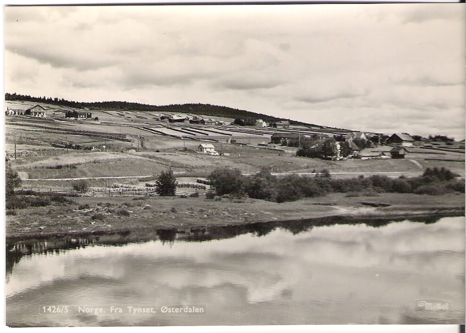 Tynset, Østerdalen. Mittet 1426/5