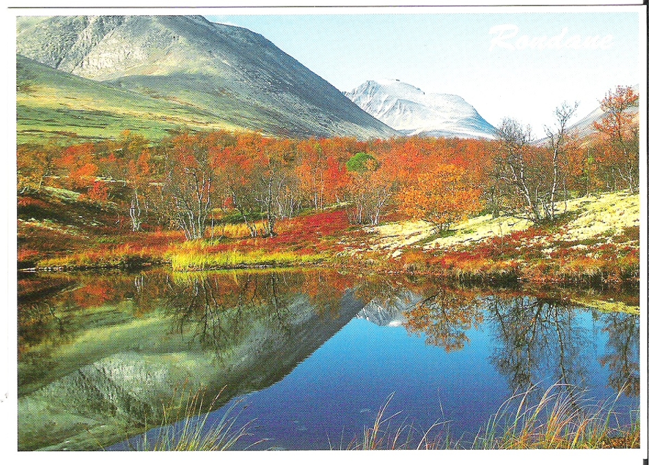 Rondane. D. Skjelle