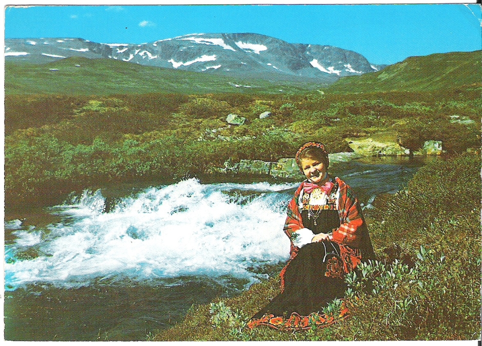 Bunad fra Hallingdal 1982. A. Golberg B-60-240