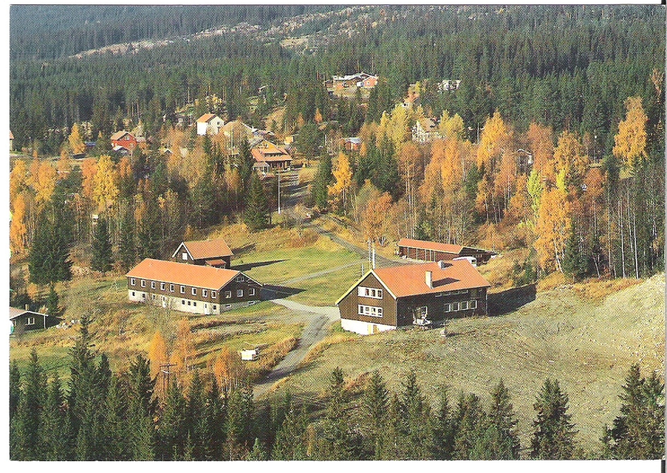 Mesnali Ungdomssenter. Aeronor