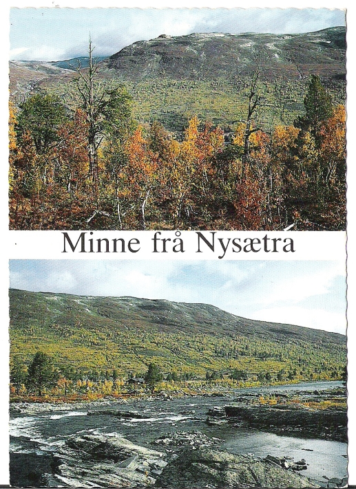 Nysætra 1996. P.S. Løkken
