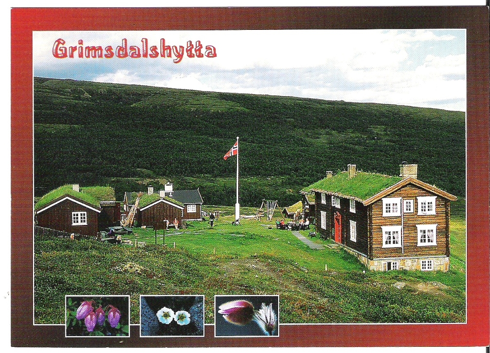 Grimsdalshytta. D. Skjelle