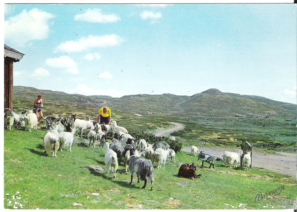 Fra Peer Gyntvegen 1971. Normann G-9-30