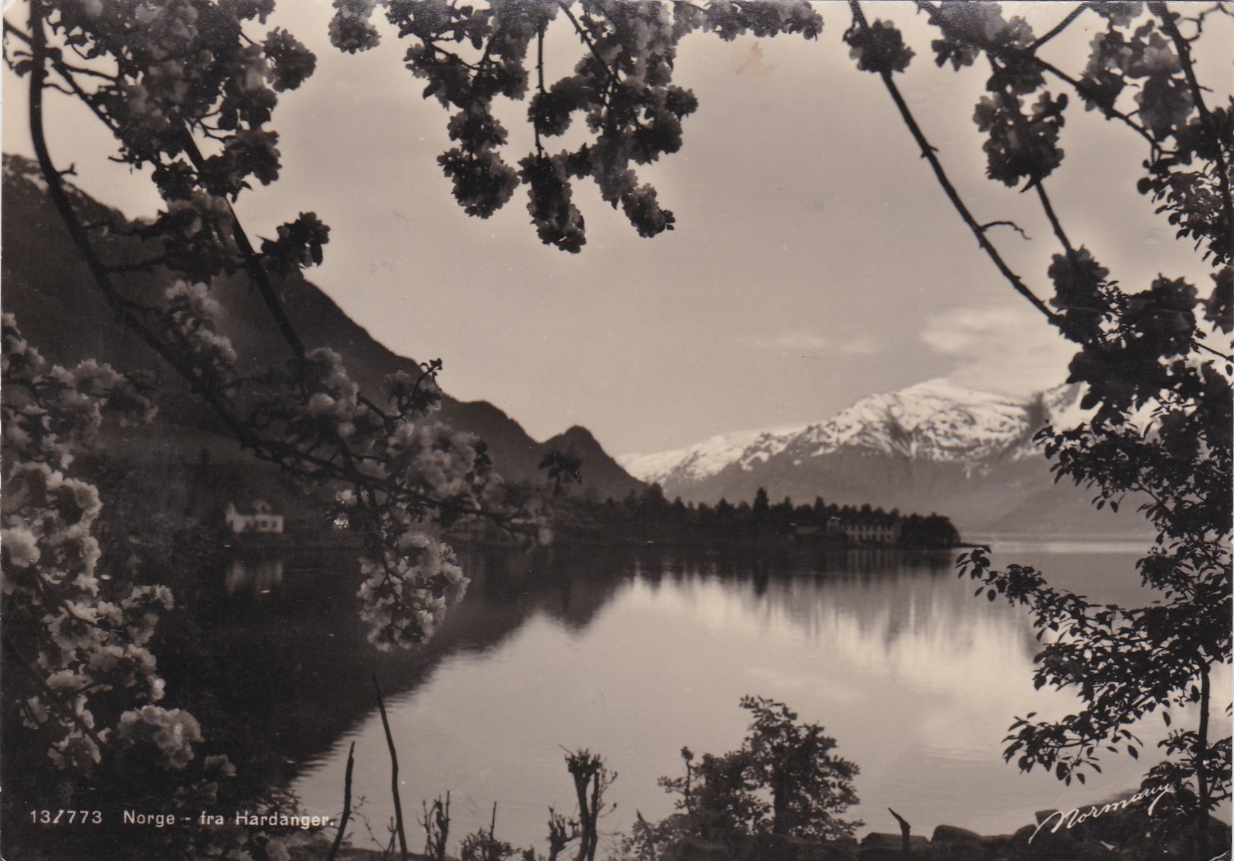 Fra Hardanger ( Normann 13/773)