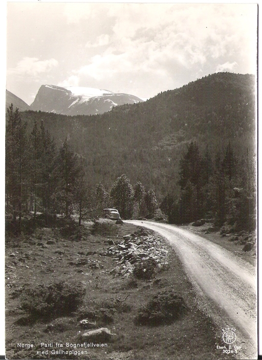 Sognefjellveien, med Gallhøpiggen. B.Oppi 3026 S