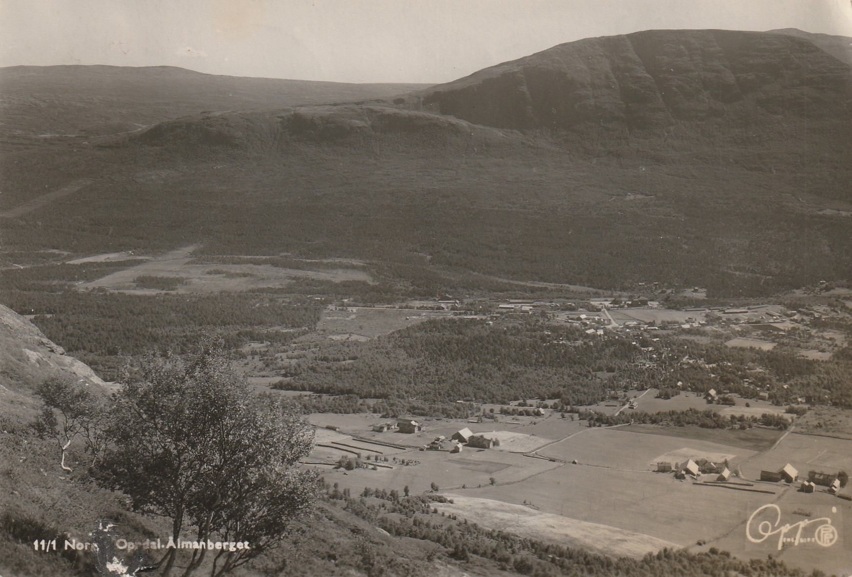 Eldre kort: Oppdal. Ålmanberget. Oppi 11/1 Pst