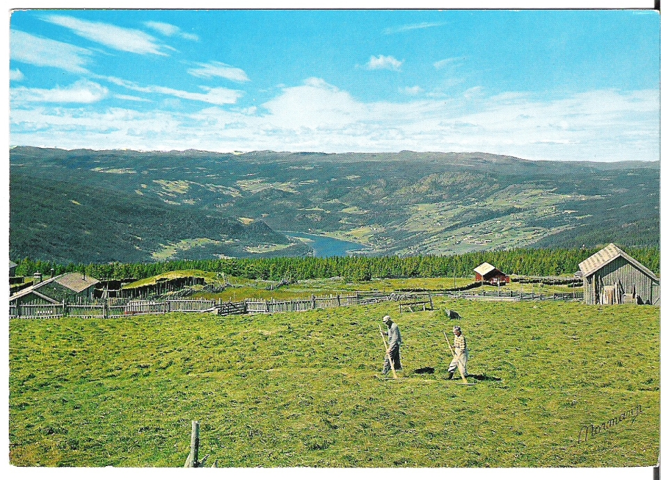 Øyer, Gudbrandsdalen. Normann G-11-35