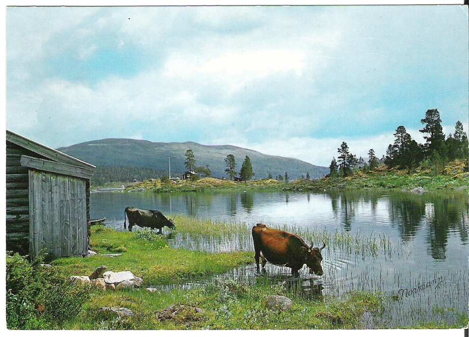 Lemonsjøen, Vågå 1968. Normann G-5-53