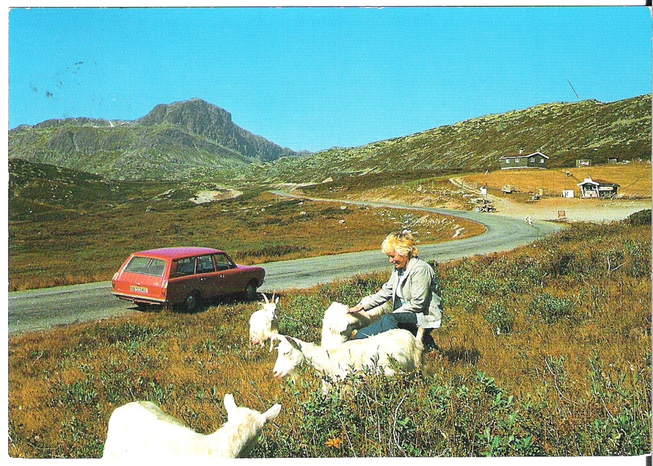 Valdresflyveien mot Bitihorn 1986. A. Golberg B-184-482