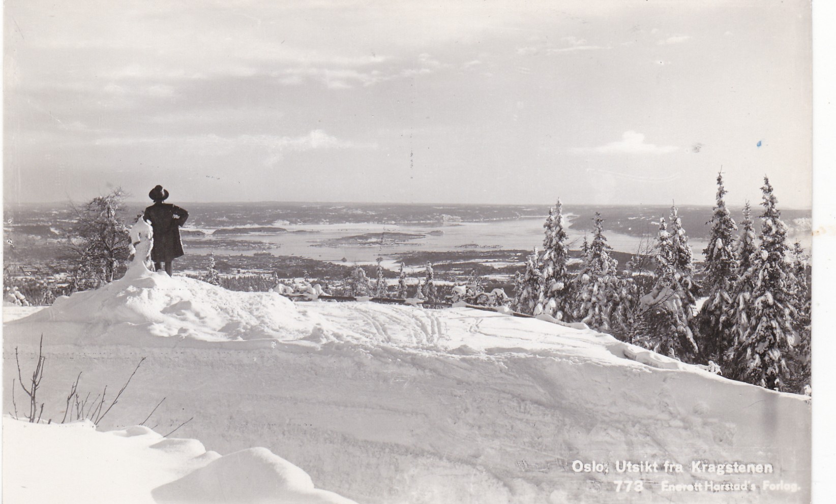 Oslo. Utsikt fra Kragstenen ( Harstad 773)