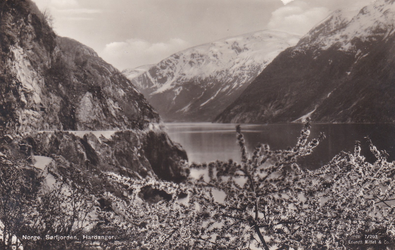 Sørfjorden, Hardanger ( Eneret Mittet & Co 7/203)