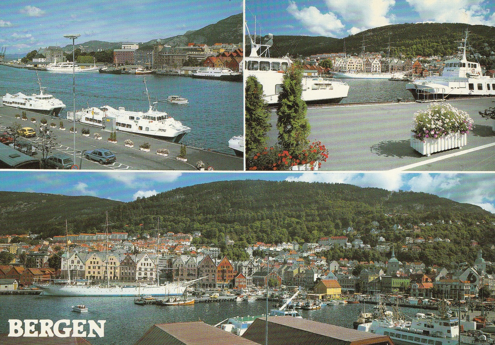 Bergen. Aune M-11439-5 Pst