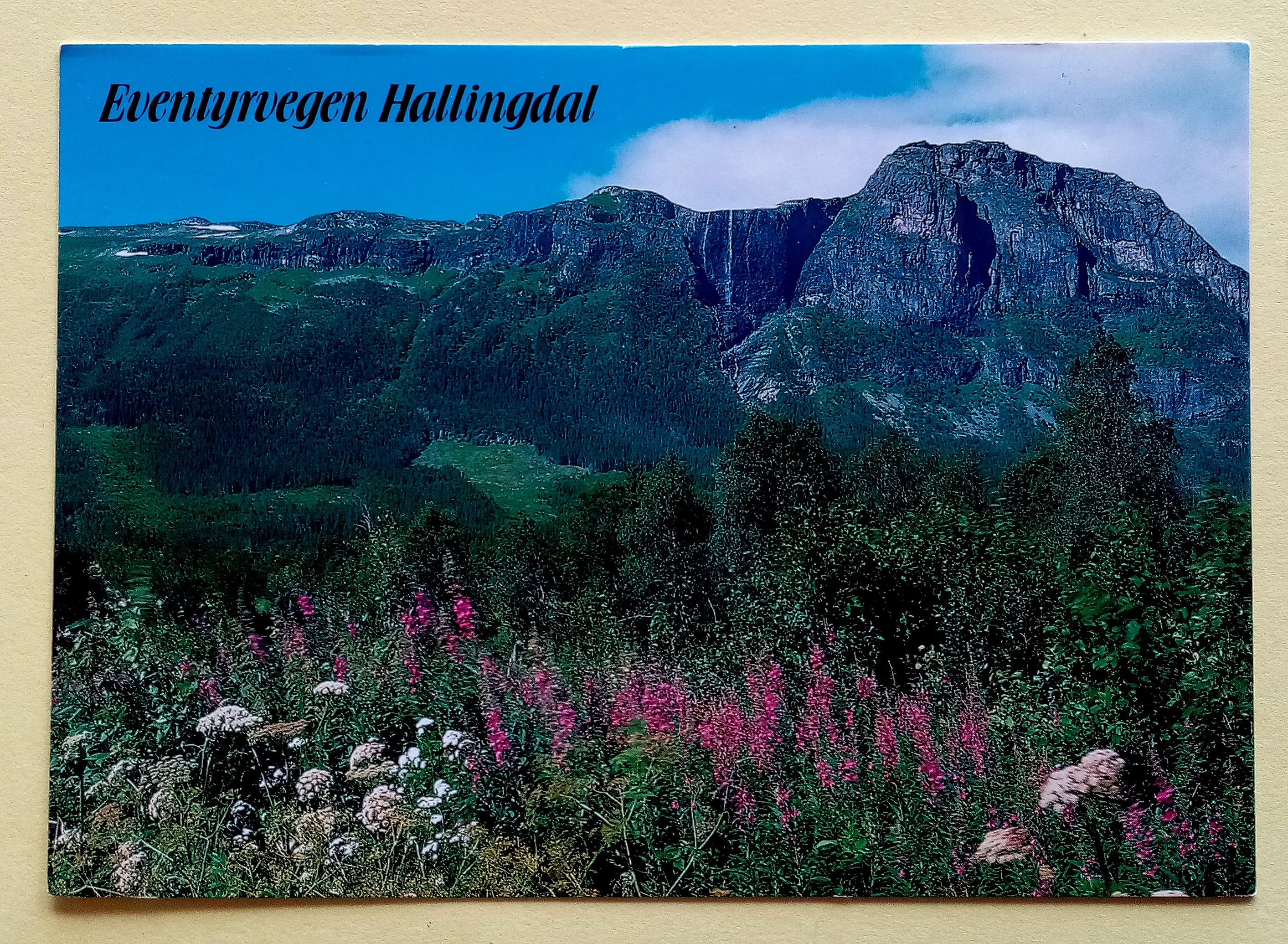 Eventyrvegen Hallingdal.