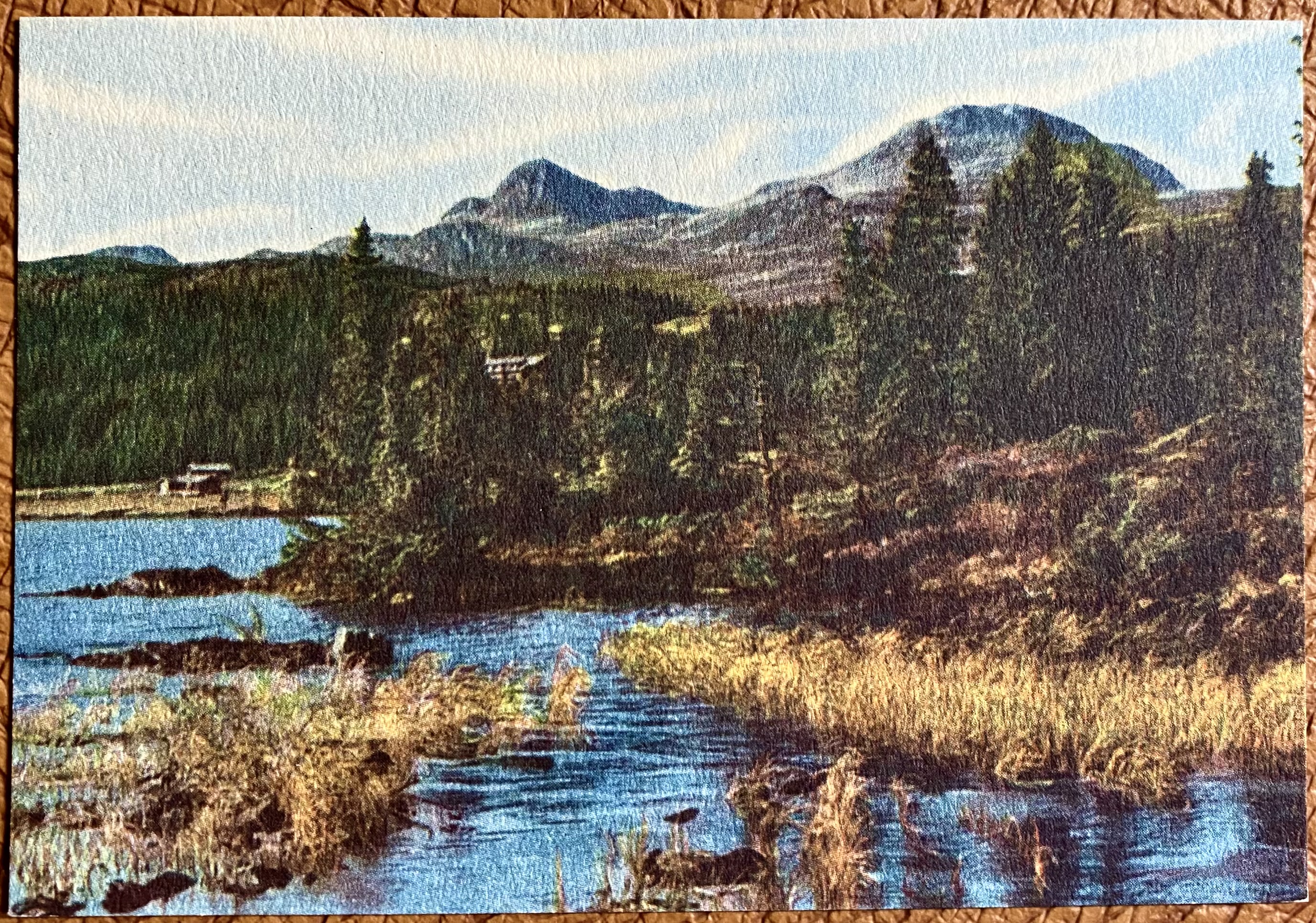 Kort Telemark Tuddal Ubrukt OPPI