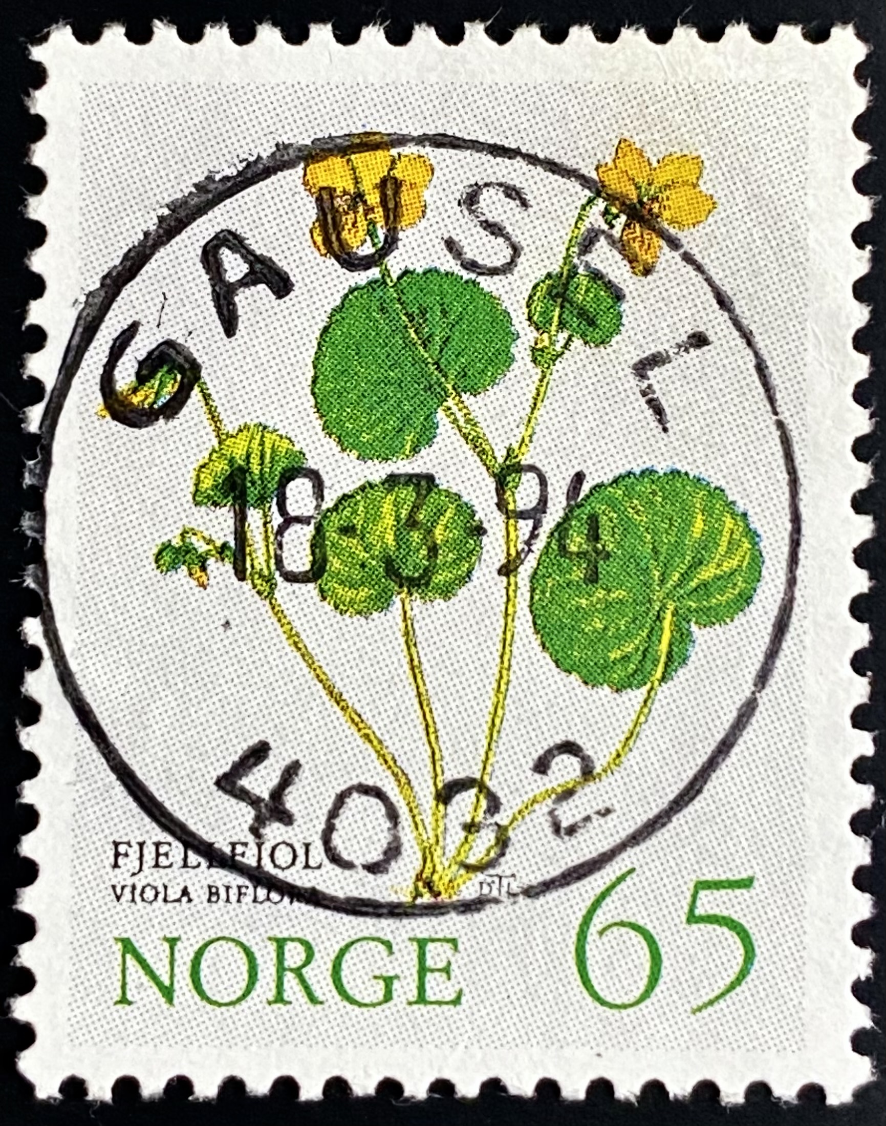 NK 719 Gausel 18-3-94
