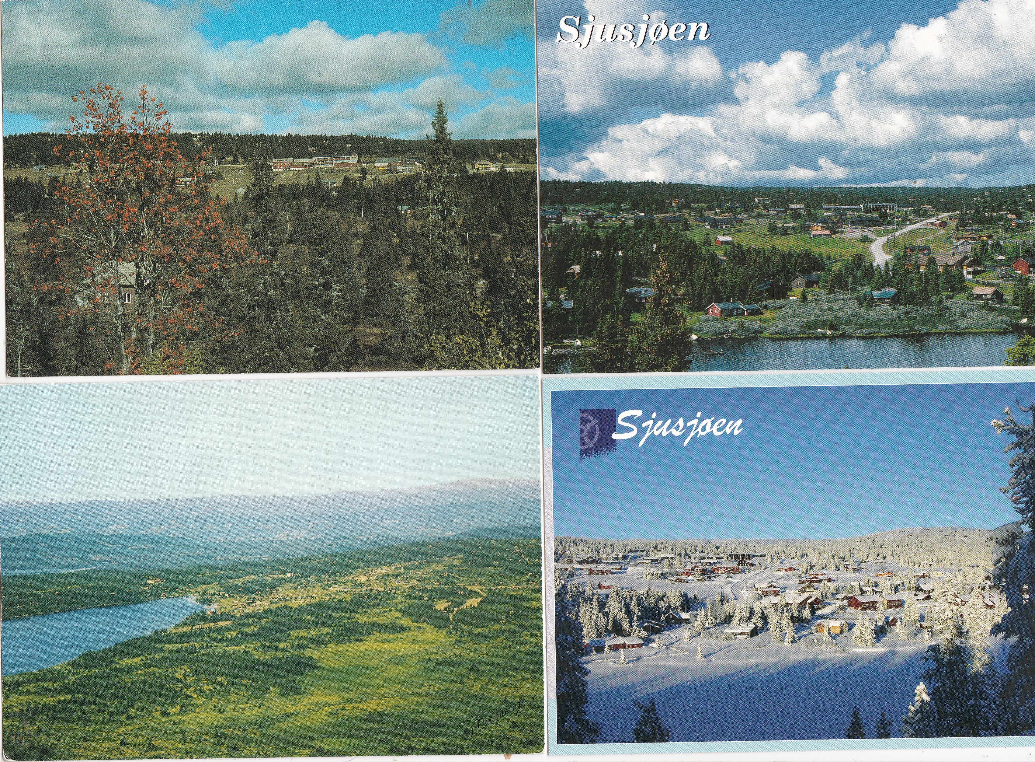 Sjusjøen: 4 forskjellige kort