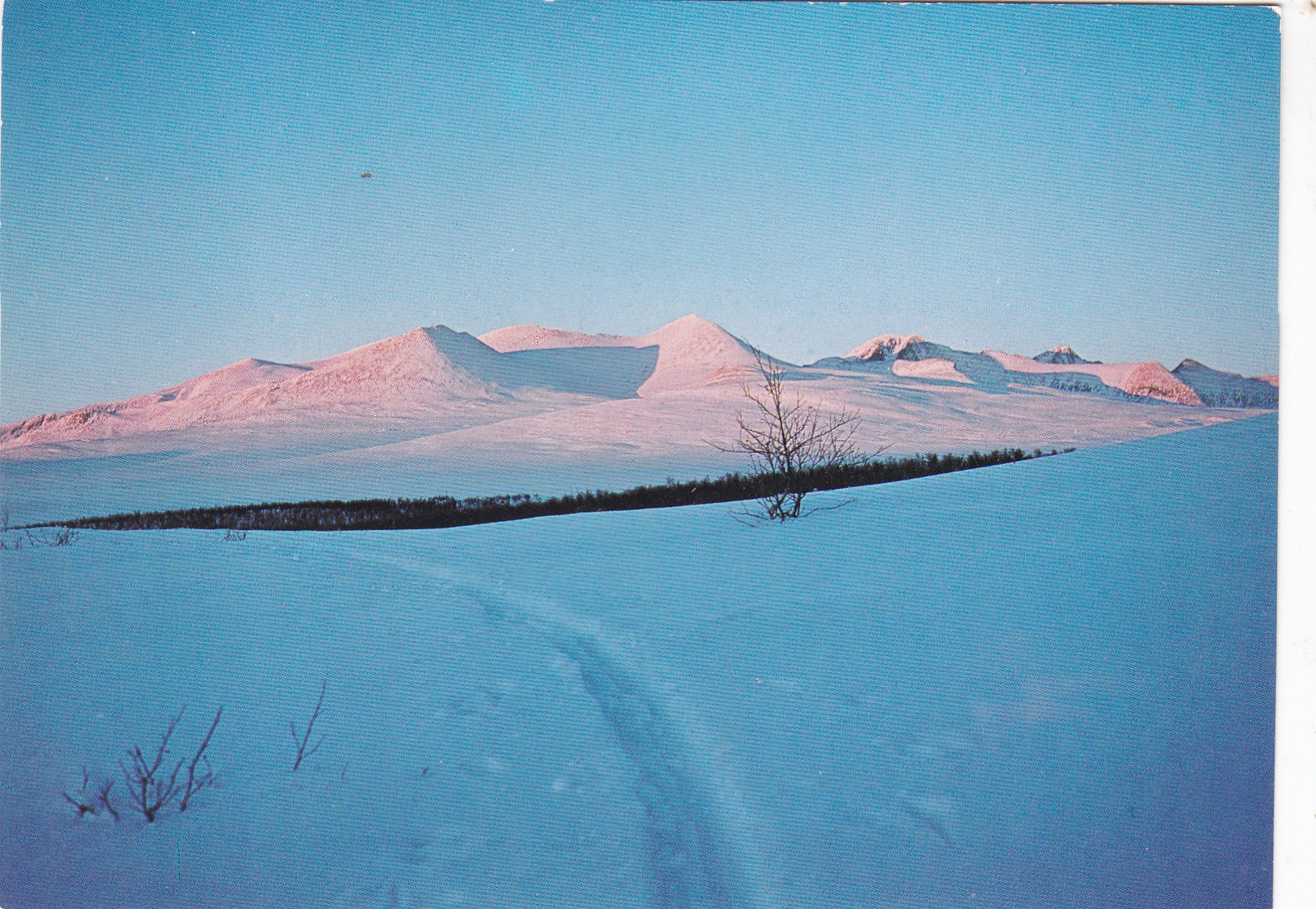 Parti ved RAPHAM, Gudbrandsdalen ( Normann G-7-241)