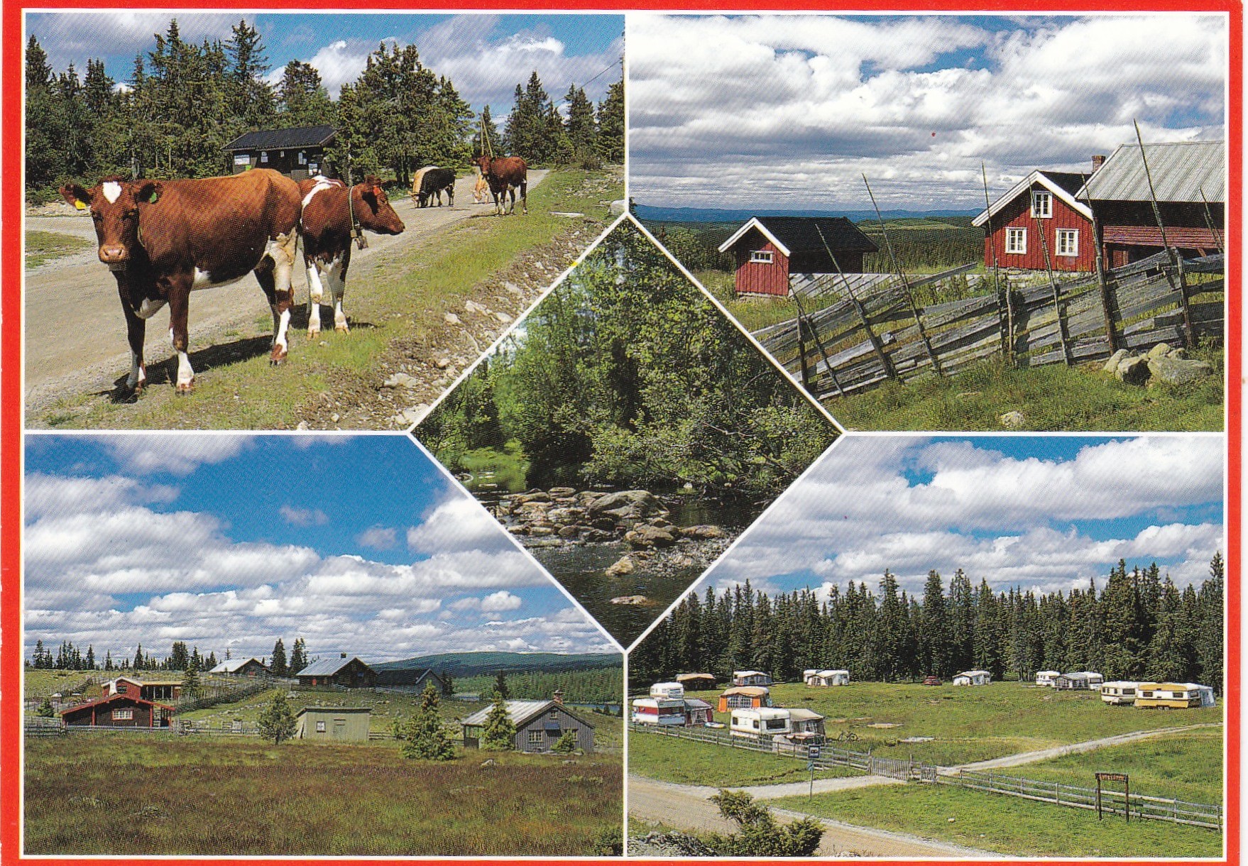 Ringsakerfjellet, 5-bilders ( Normann 01-F-01-309)