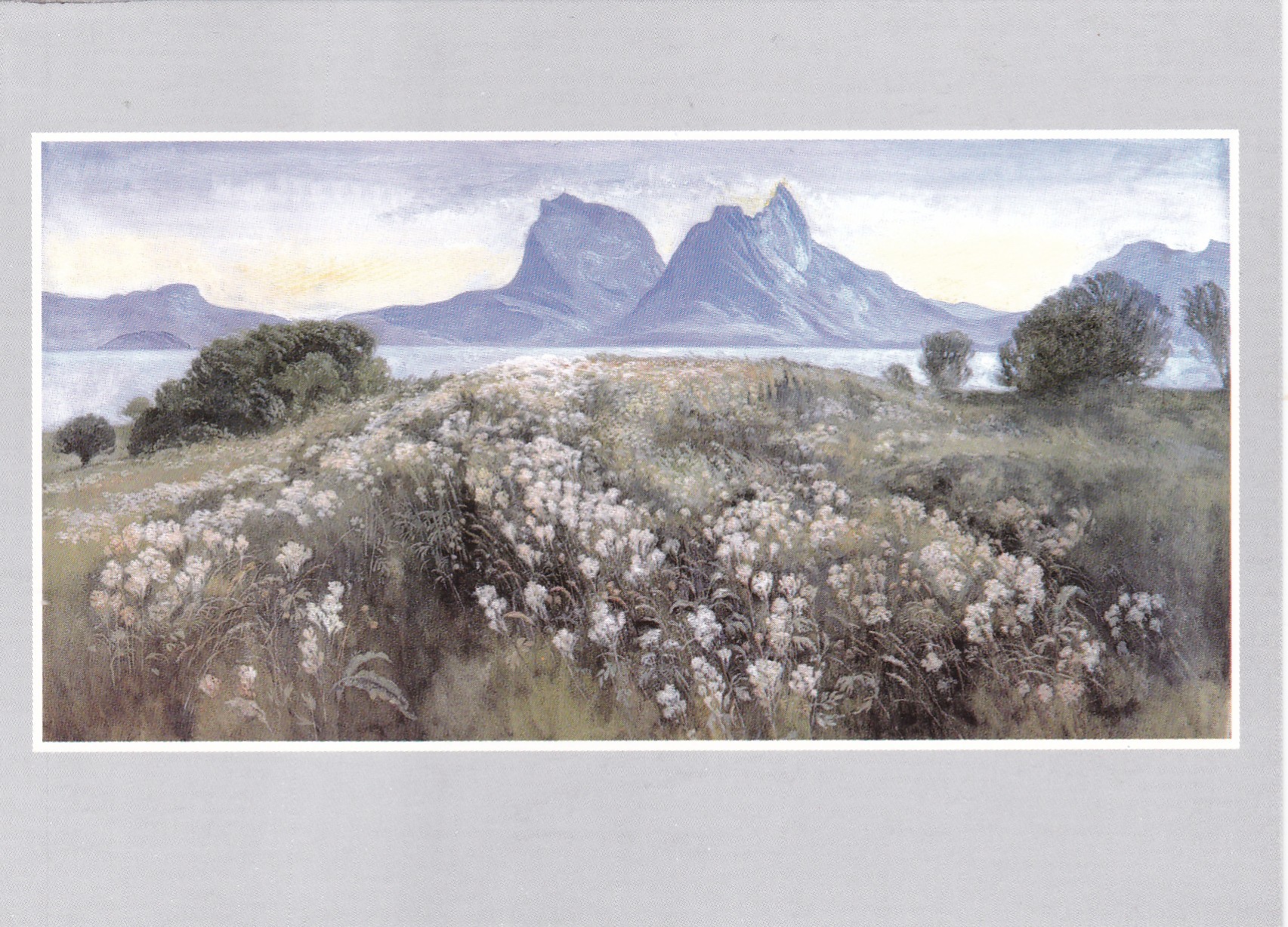 Sommer, Karlsøyvær i Kjerringøy v/ Karl Erik Harr