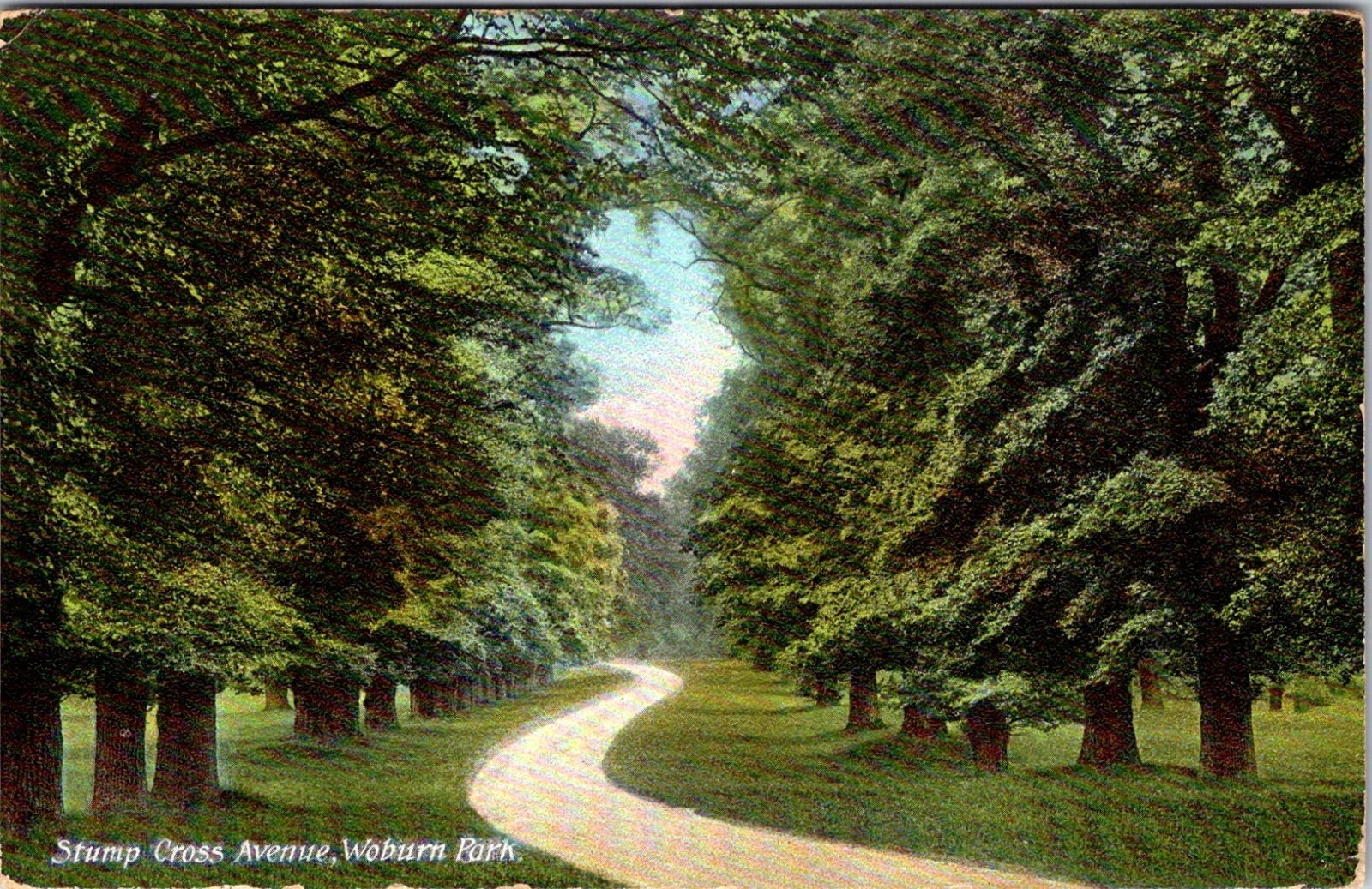 Woburn Park - Stump Cross Avenue - Bedfordshire - England - 1908 - Postkort