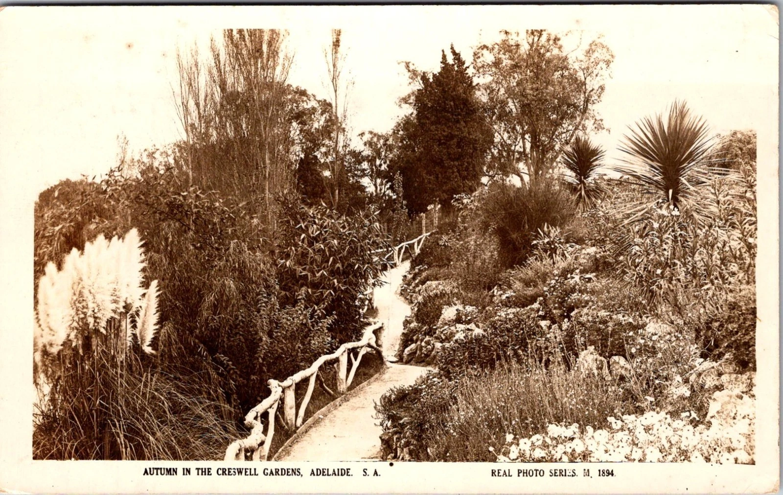 Creswell Gardens - Adelaide S. A. - Valentine & Sons - Australia - Postkort