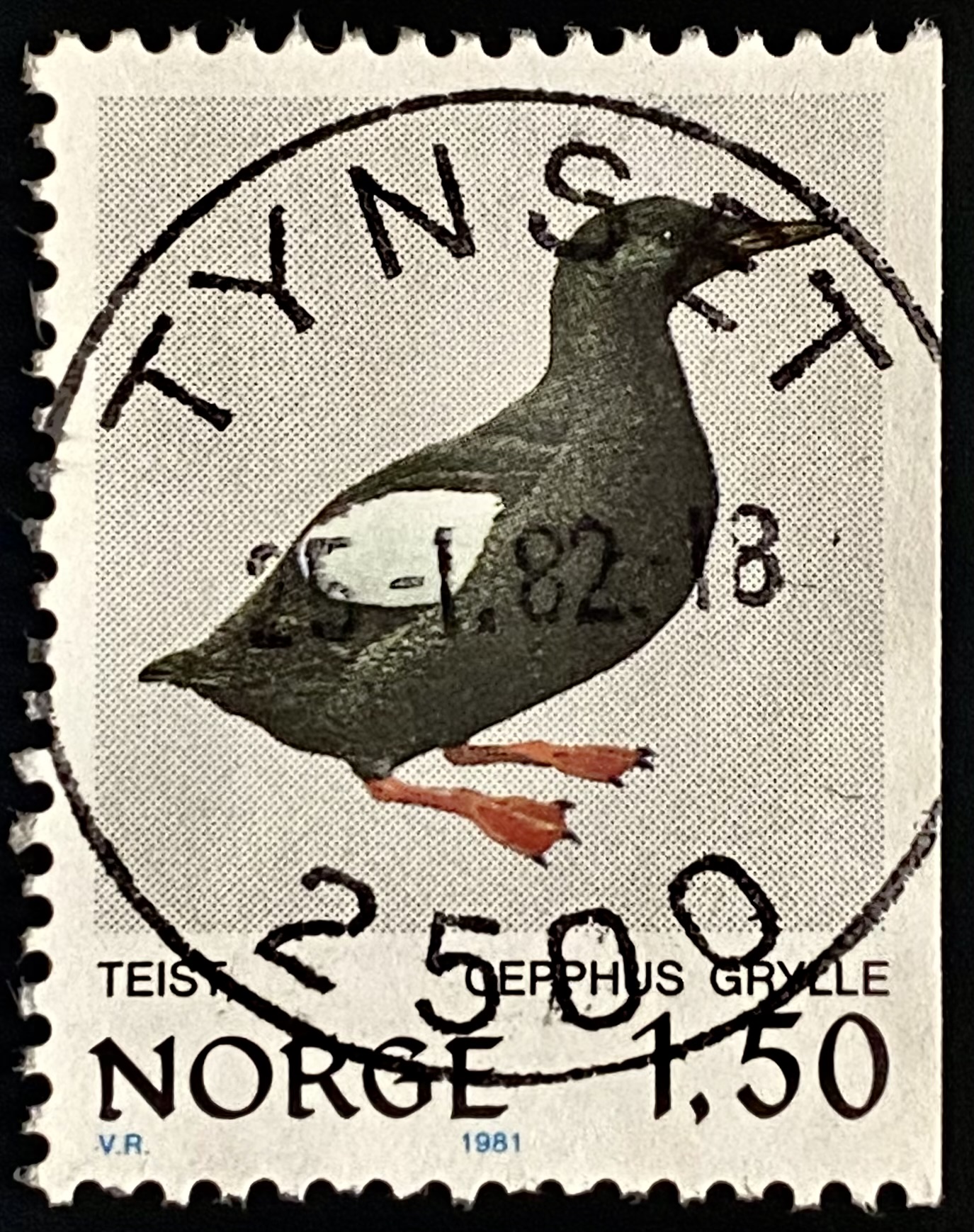 NK 878 Tynset