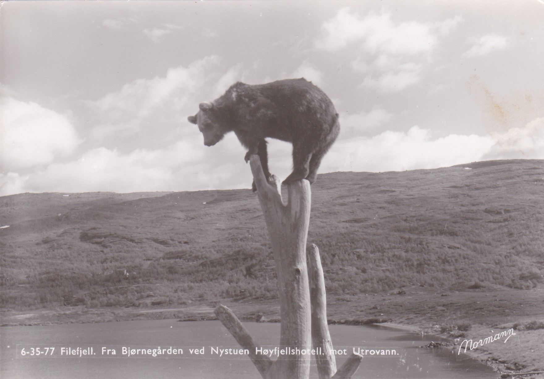 Filefjell. Fra Bjørnegården ved Nystuen Høyfjellshotell ( Normann 6-35-77)