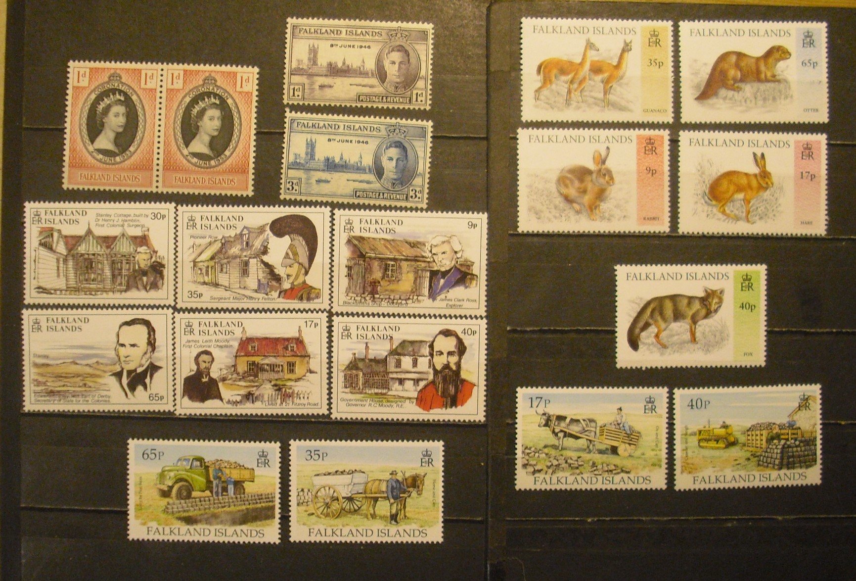 Falkland Islands - Postfrisk Lot